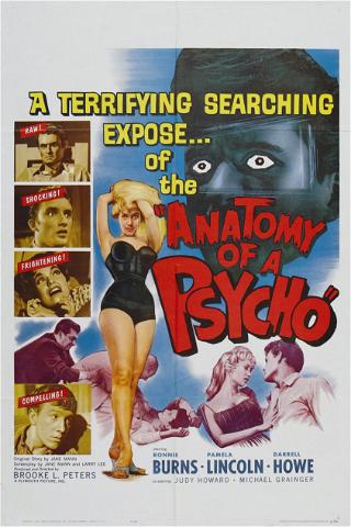 Anatomy of a Psycho poster