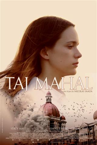 Taj Mahal poster