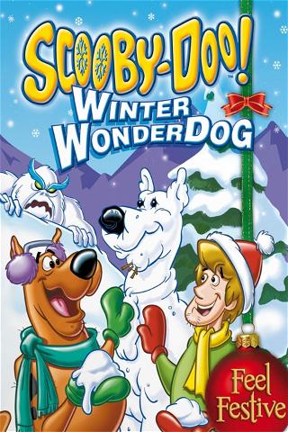 Scooby-Doo!: Winter Wonderdog poster