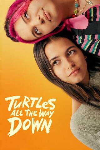 Schildpadden tot in het oneindige poster
