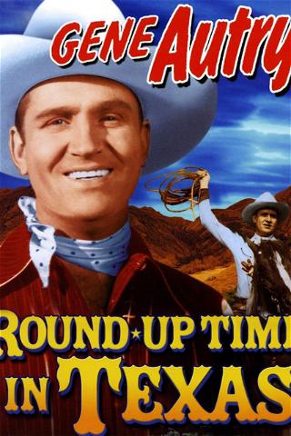 Round-Up Time in Texas poster