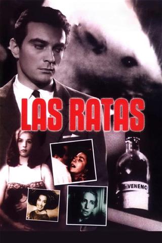Las ratas poster