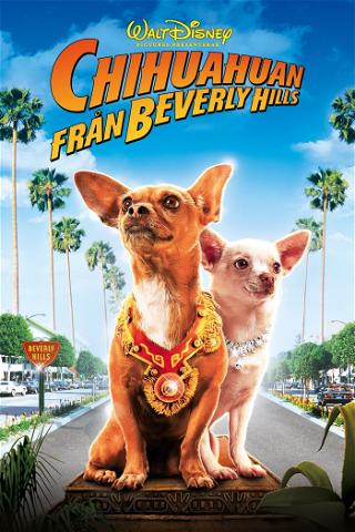 Chihuahuan från Beverly Hills poster