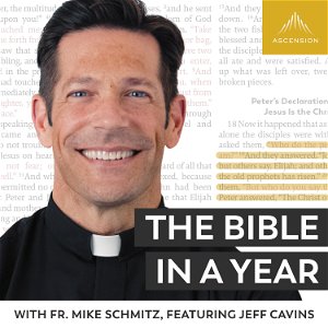The Bible in a Year (with Fr. Mike Schmitz) poster