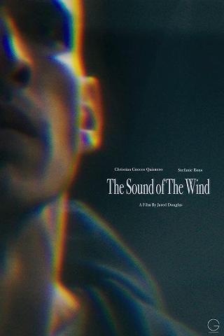 The Sound of The Wind poster