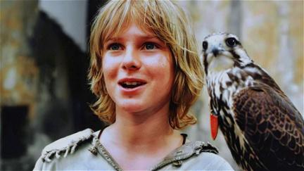 Tomáš and the Falcon King poster