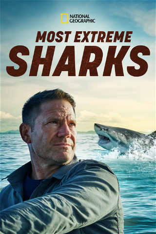 Most Extreme Sharks poster
