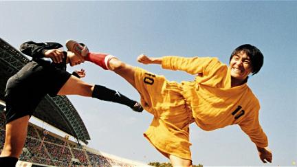 Shaolin Kickers poster