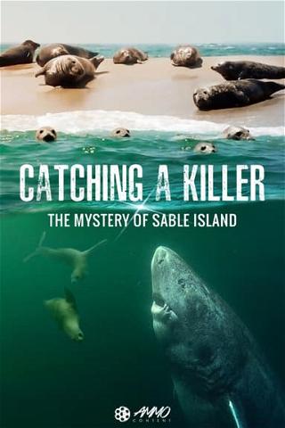 Catching a Killer: The Mystery of Sable Island poster