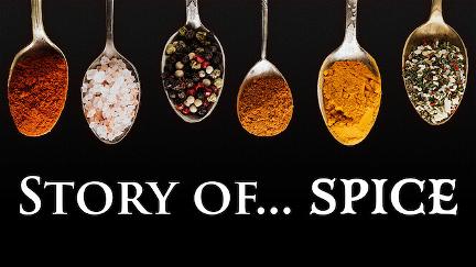 Story of..Spice poster