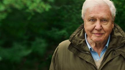 David Attenborough: Et liv på vår planet poster