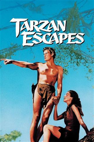 Tarzan Undslipper poster