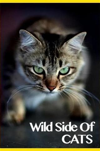 Wild Side of Cats poster