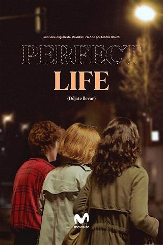 Perfect Life poster