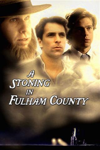 A Stoning in Fulham County poster