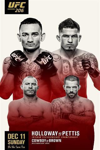 UFC 206: Holloway vs. Pettis poster