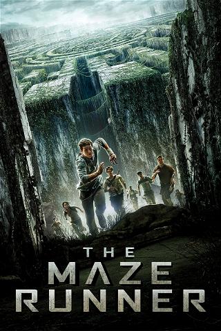 The Maze Runner - I dødens labyrint poster