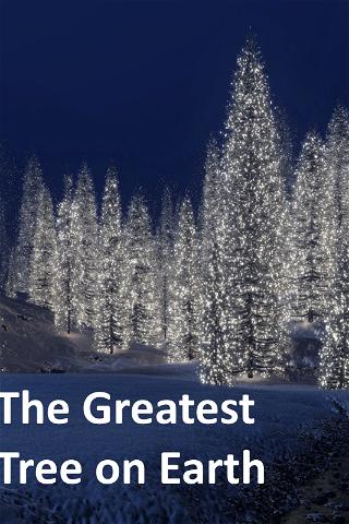 The Greatest Tree on Earth poster