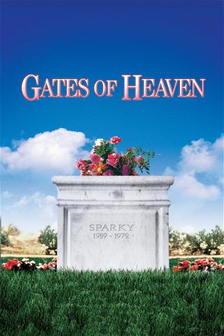 Gates of Heaven poster
