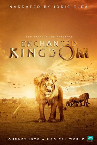 Enchanted Kingdom poster