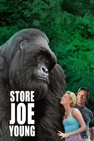 Store Joe Young poster