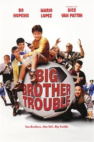 Big Brother Trouble poster
