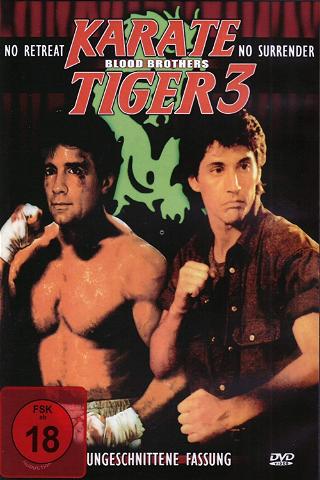 Karate Tiger 3 - Blutsbrüder poster