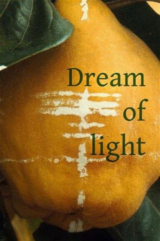 Dream of Light poster