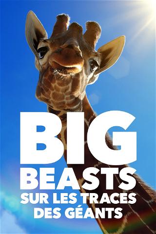 Big Beasts : Sur les traces des géants poster