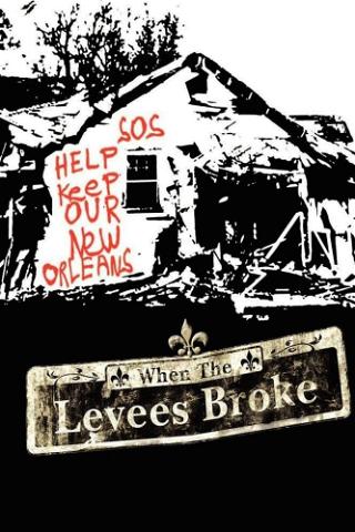 When The Levees Broke: A Requiem in Four Acts - Part 1 poster