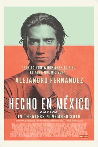 Hecho en México poster