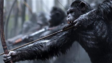 War For The Planet Of The Apes poster