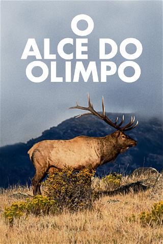 O Alce do Olimpo poster