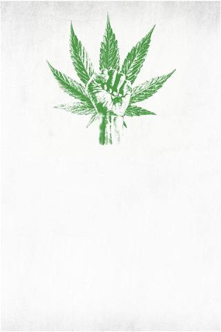 The Marijuana Revolution poster