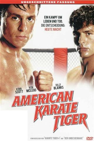 American Karate Tiger poster