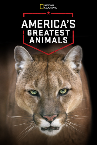 America's Greatest Animals poster