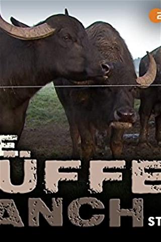 Die Büffelranch poster