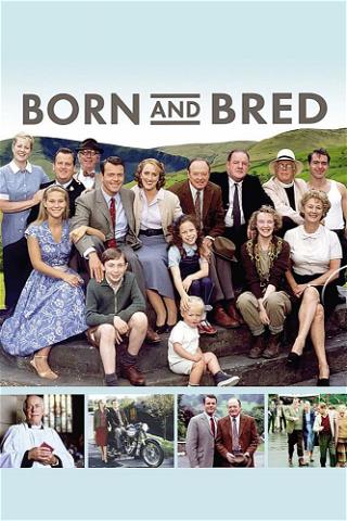 Born and Bred poster