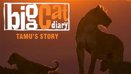 Big Cat Diary poster