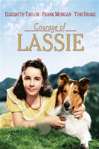 The Courage of Lassie poster