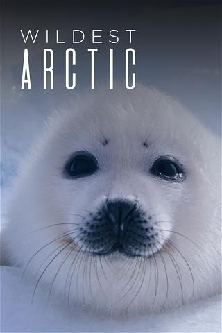 Wildest Arctic poster