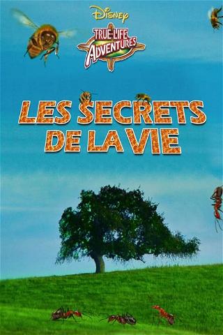 Les Secrets De La Vie poster
