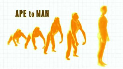 Ape to Man poster