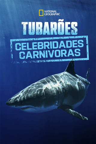 Tubarões: Celebridades Carnivoras poster