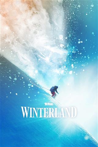 Winterland poster