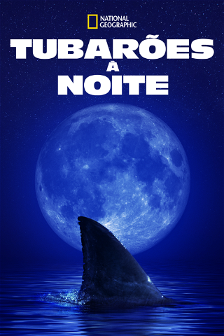 Tubarões à Noite poster