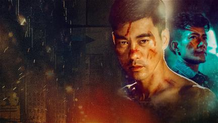 Quan Dao : The Journey of a Boxer poster
