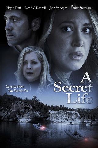 Une vie secrète poster