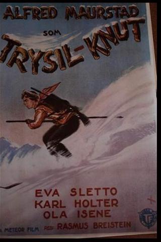Trysil-Knut poster