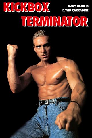 Kickbox Terminator poster